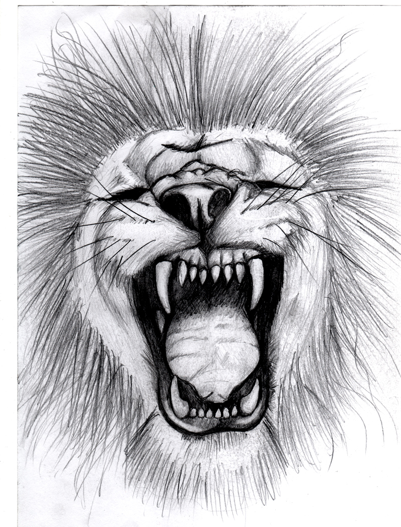names Design poses A To Home Gallery Lion Face How meanings  and Draw yoga   Roaring