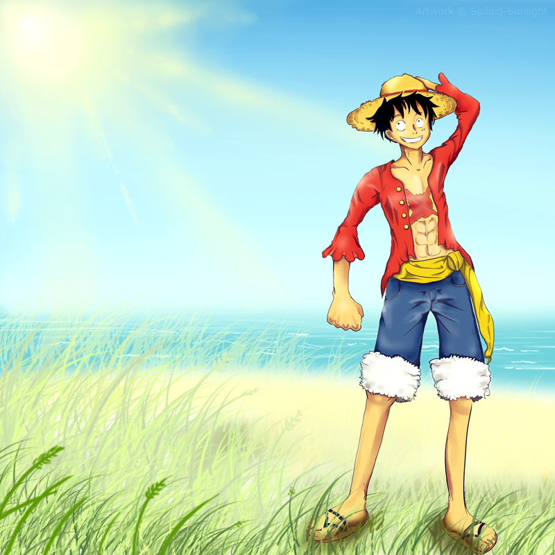 luffy_2y_by_spilled_sunlight-d31dwtb.png