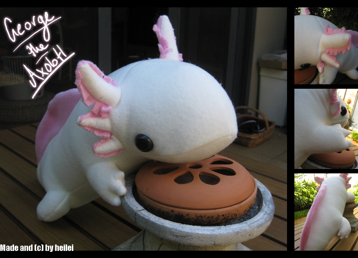 george_the_axolotl_by_heilei-d33p322.png