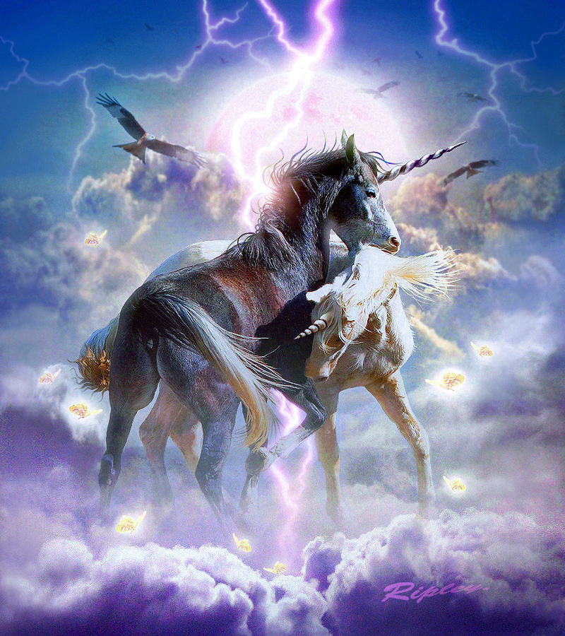 unicorns_in_love_by_mr_ripley-d31k12r.jpg
