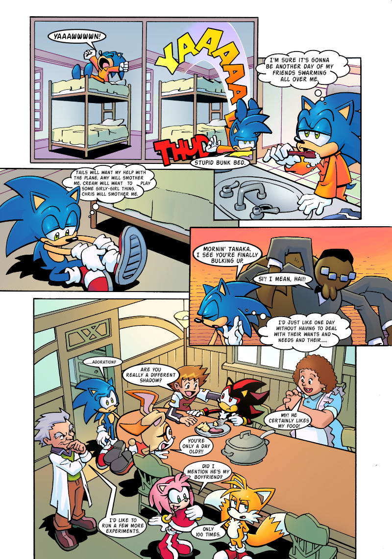 sonic_x_comic_shadamy_by_alexis_the_hedgehog8-d3lithd.png