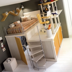 best bunk beds in the world