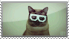 skifcha - Dubstep Hipster Cat by HavickTheLion