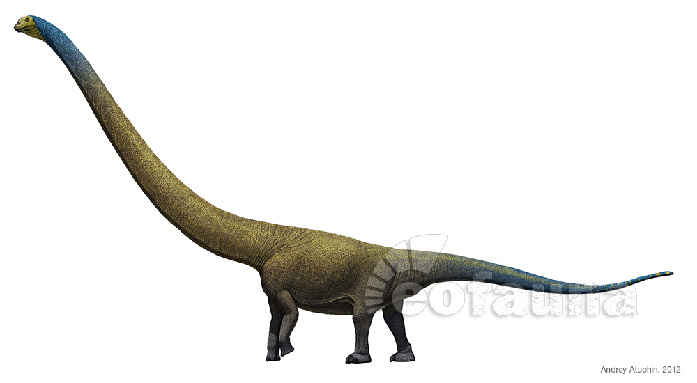 Mamenchisaurus jingyanensis by EoFauna