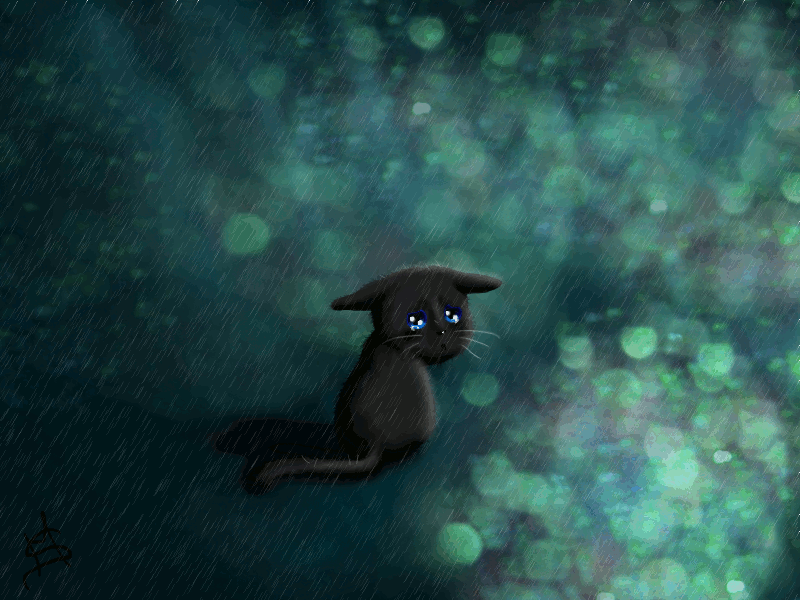 Sad kitten in the rain by Zebrapluschi