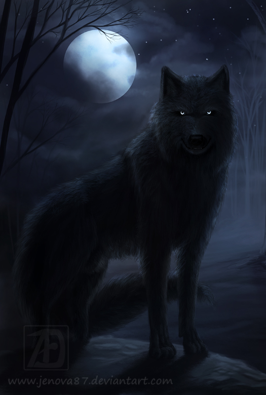 oc__dark_wolf_kai_by_jenova87-d5stzeu.jpg