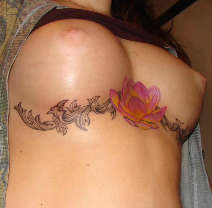 Baroque and Lotus side view