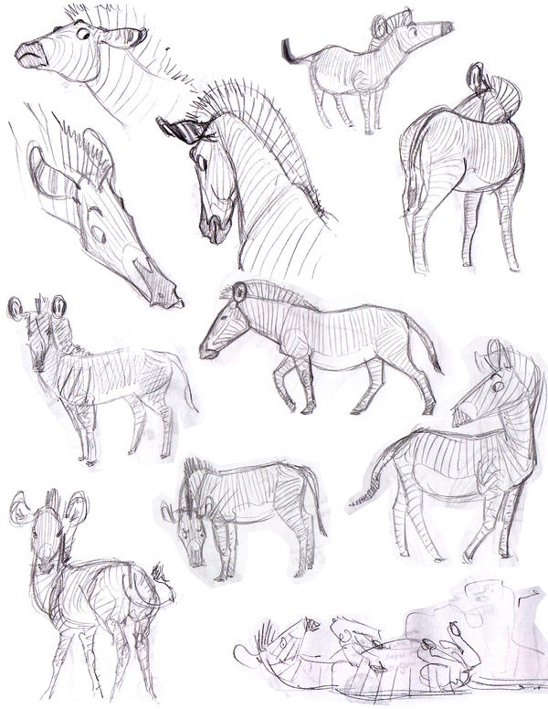 zebra designs