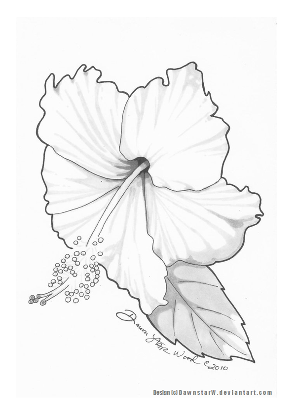 Hibiscus tattoo design - FINAL by *DawnstarW on deviantART