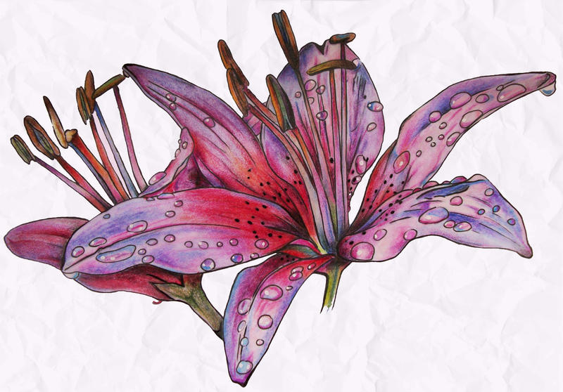 Raindrops On Lilies | Flower Tattoo