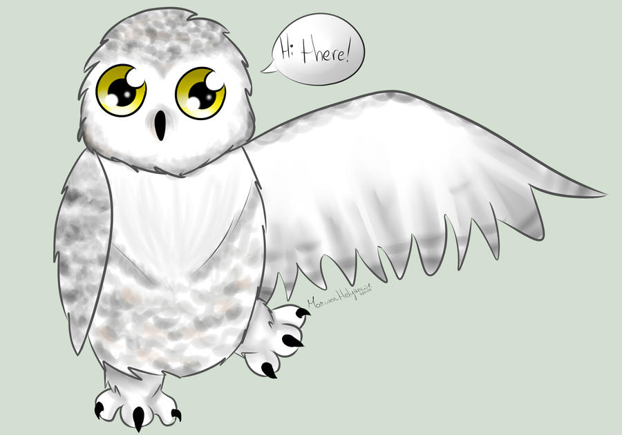 snowy owl clip art - photo #10