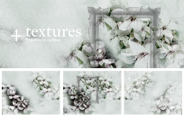 4 textures 800x600 : 1 by Carllton