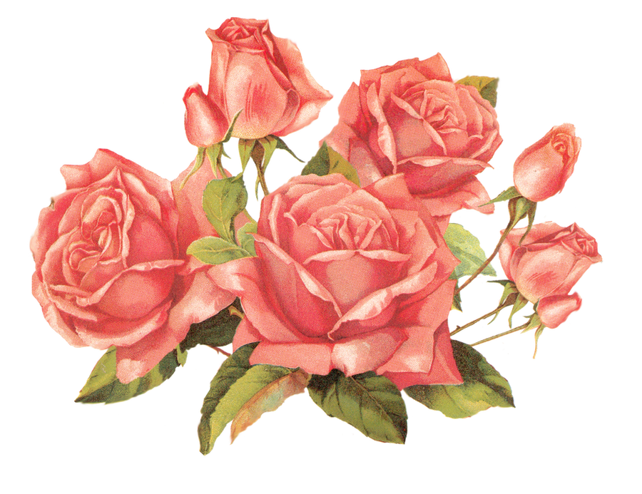 free clip art vintage roses - photo #19