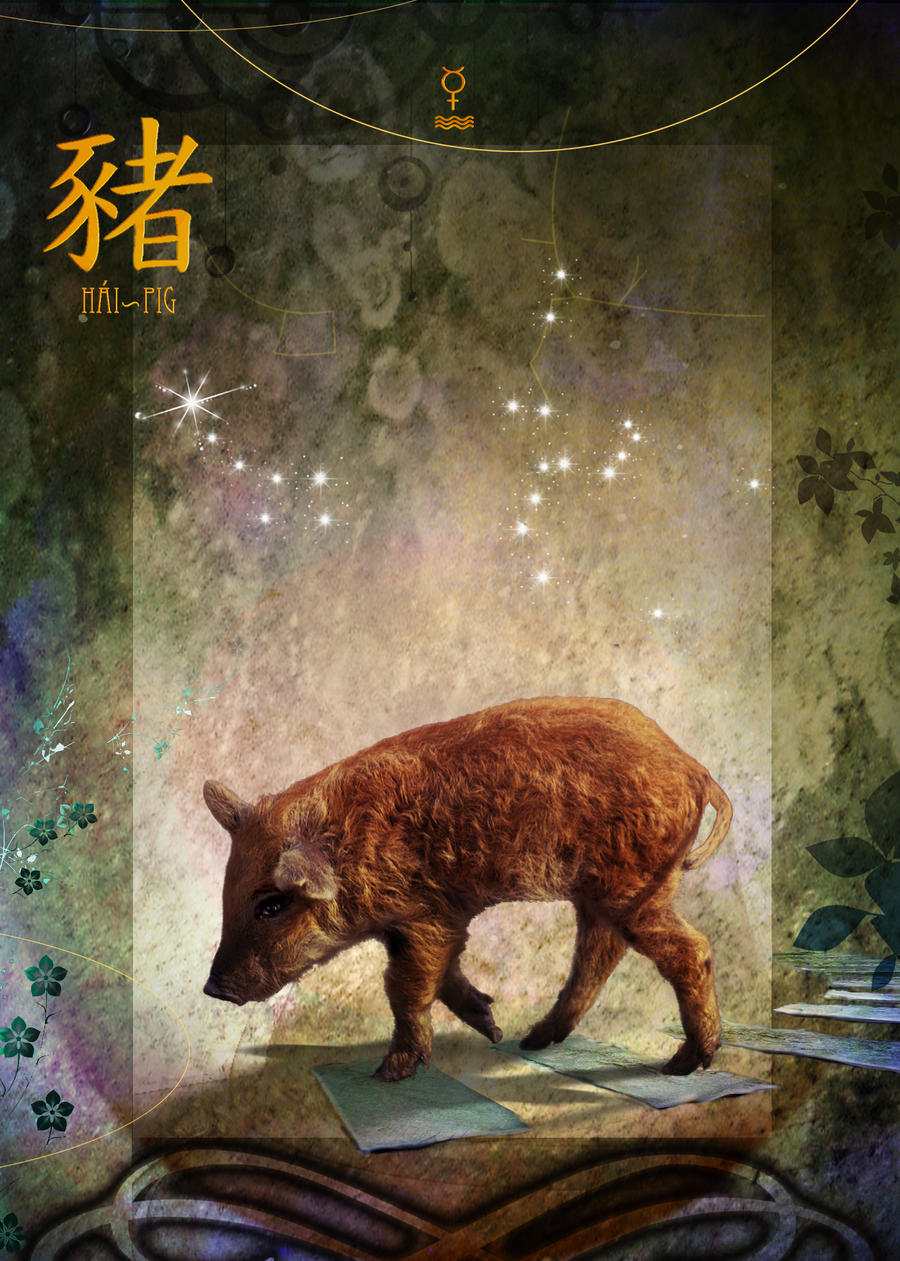 Chinese Zodiac Signs The Pig