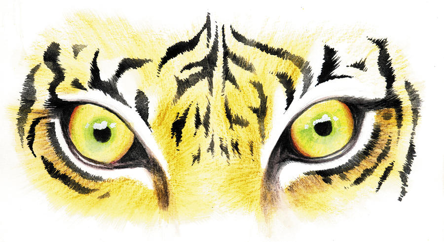 tiger eyes clip art - photo #19