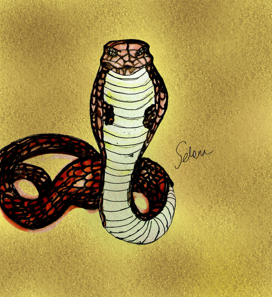 King Cobra Selena By Selinelle On Deviantart