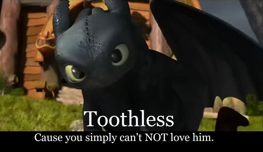 love_for_toothless_by_arvata-d3c9gmx.jpg
