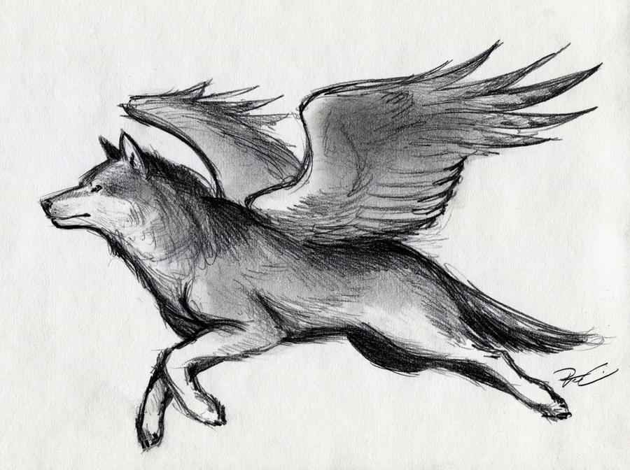Winged Wolf by RobtheDoodler on DeviantArt