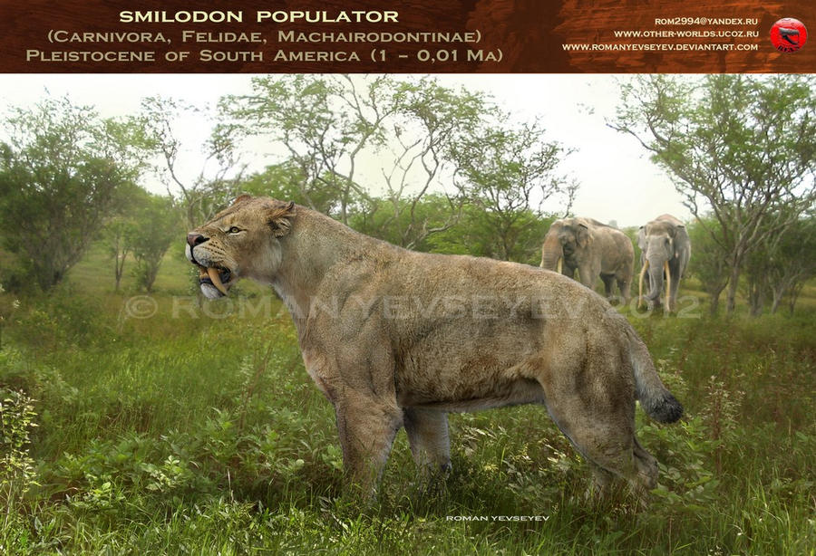 Sarkastodon and Bengal tiger (size comparison) by Rom-u on DeviantArt