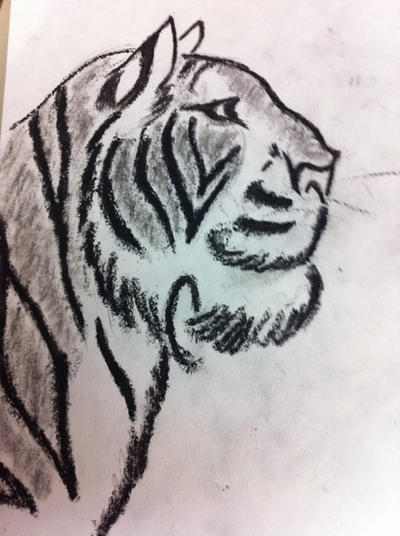 black and white tiger drawing by jerkson650 on DeviantArt