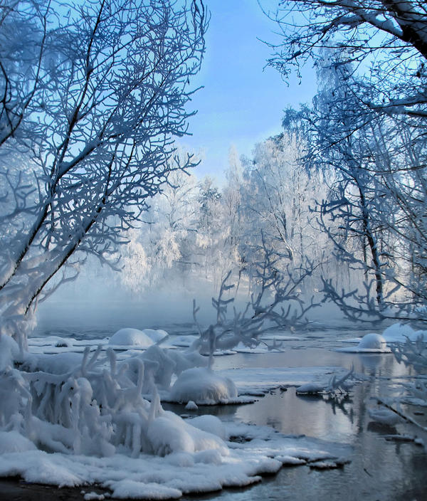 Frosty trees in winter wonderland by KariLiimatainen on deviantART