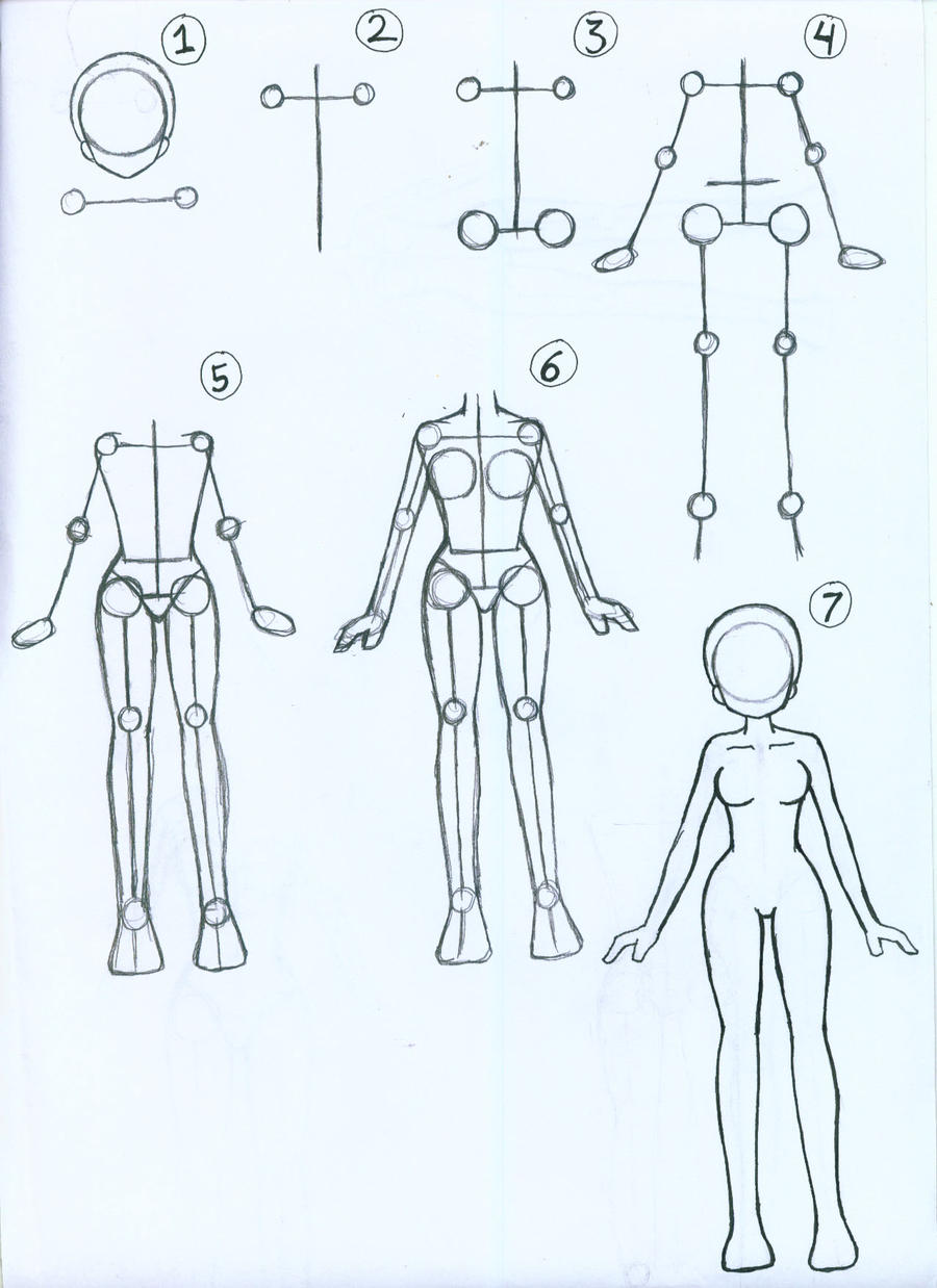 How To Draw Anime Bodies Male And Female