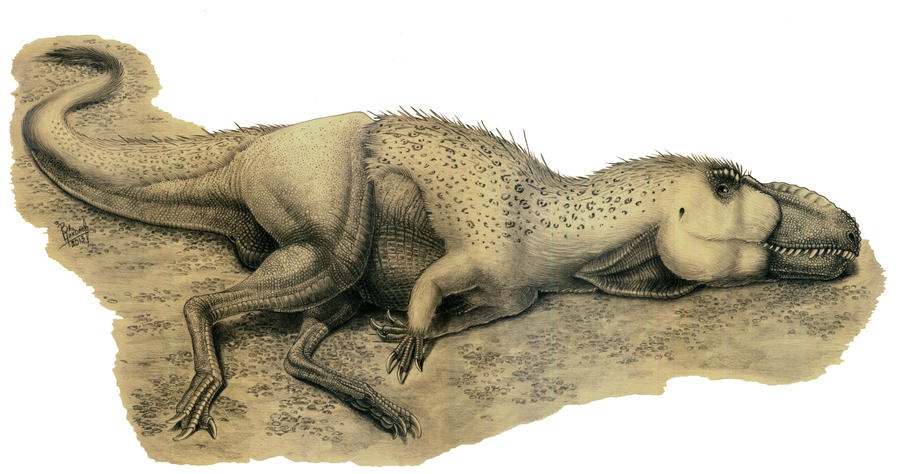 Dryptosaurus aquilunguis by T-PEKC