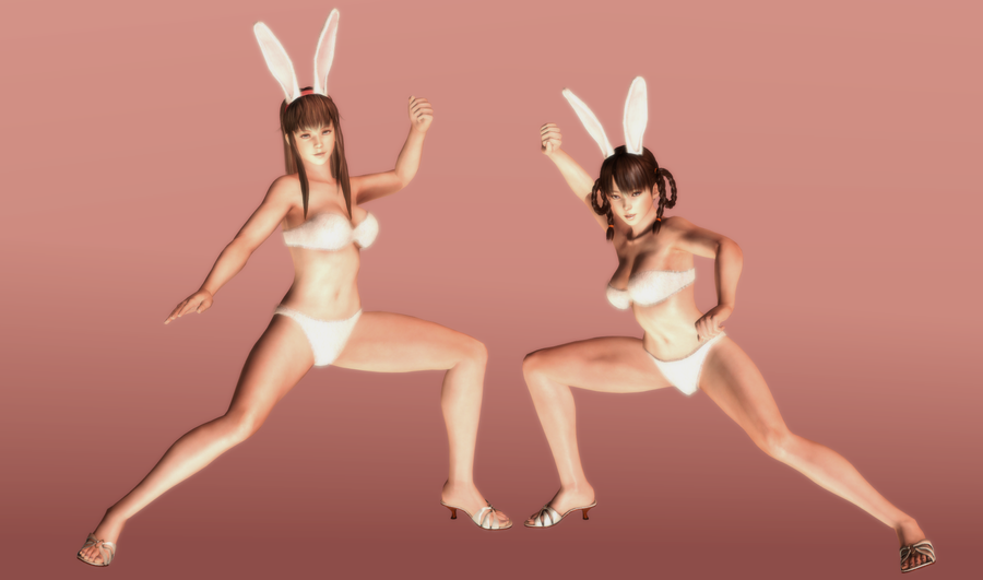 hitomi_and_leifang___happy_bunnies___04_by_hentaiahegaolover-d5qq25m.png