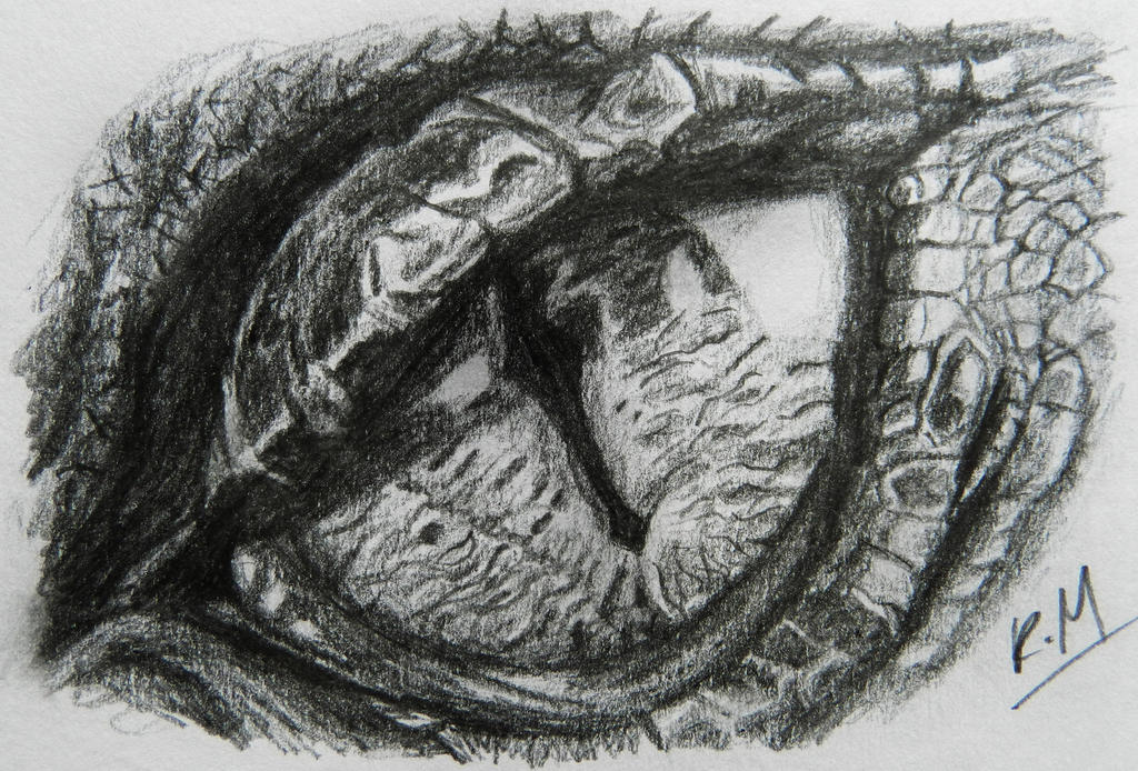 smaug_s_eye_sketch_by_doodle103-d6aws66.