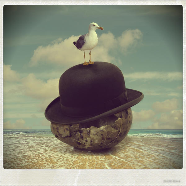 the___godfather___seagull_by_beyzayildirim77-d6g1m98.jpg