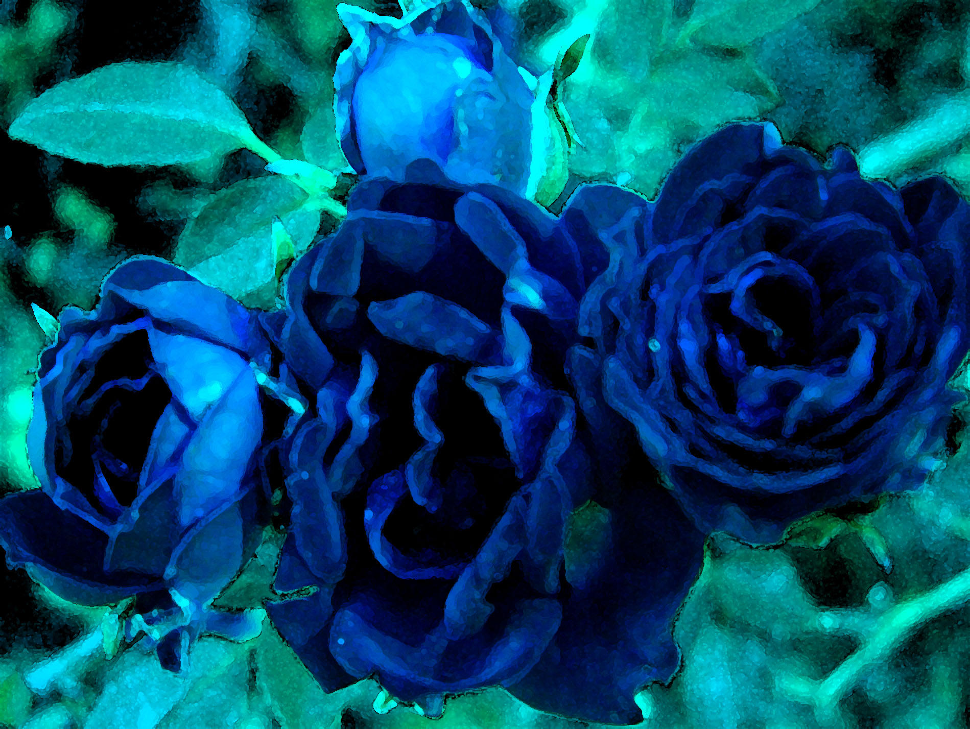 blue_roses_by_gluttony666.jpg (1899×1427)