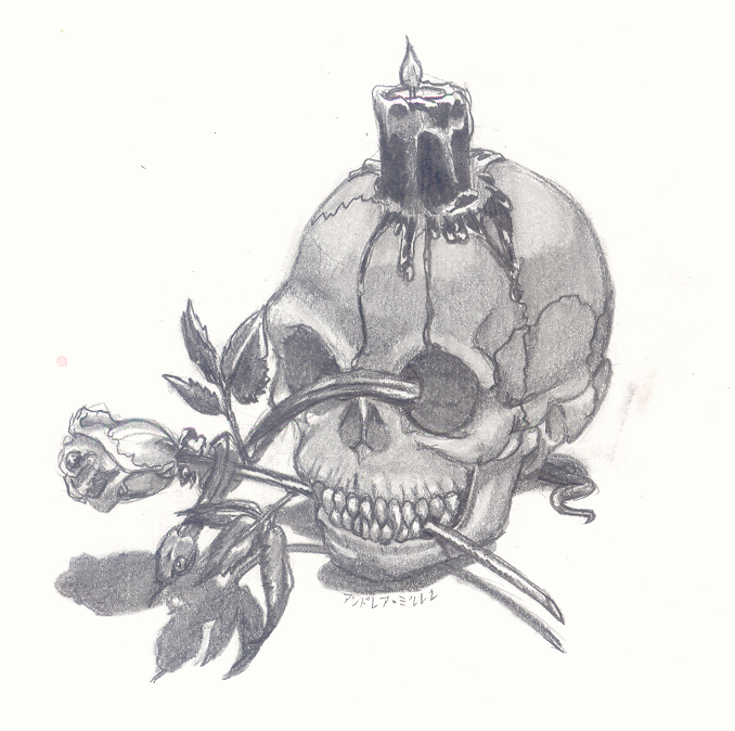 Demon Skull with Rose by inevitabledarkness on deviantART