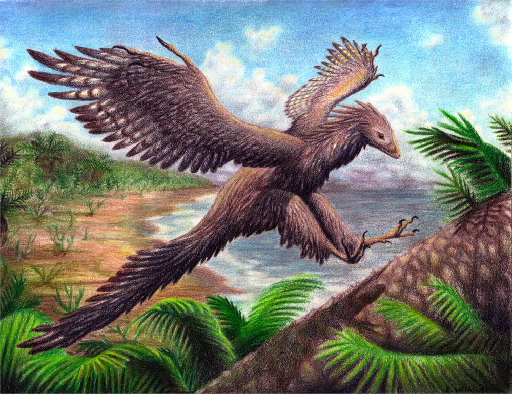Archaeopteryx___Landing_by_Ferahgo_the_Assassin.png