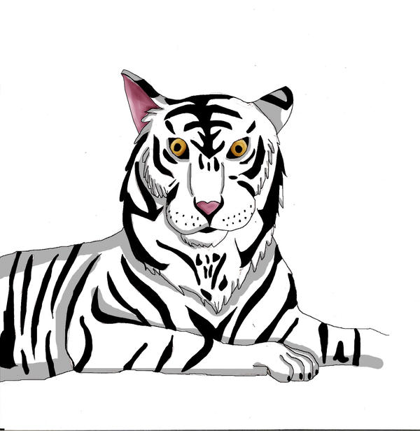 Dibujo Tigre De Bengala