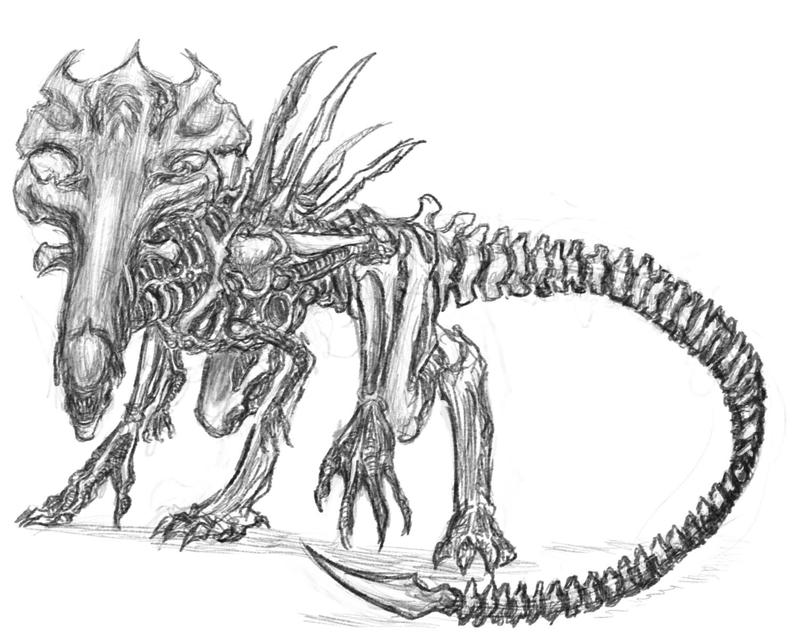 xenomorph drone coloring pages - photo #43