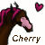 Cherry shakehead by Shikumeka