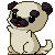 :Party Pug: by PrePAWSterous