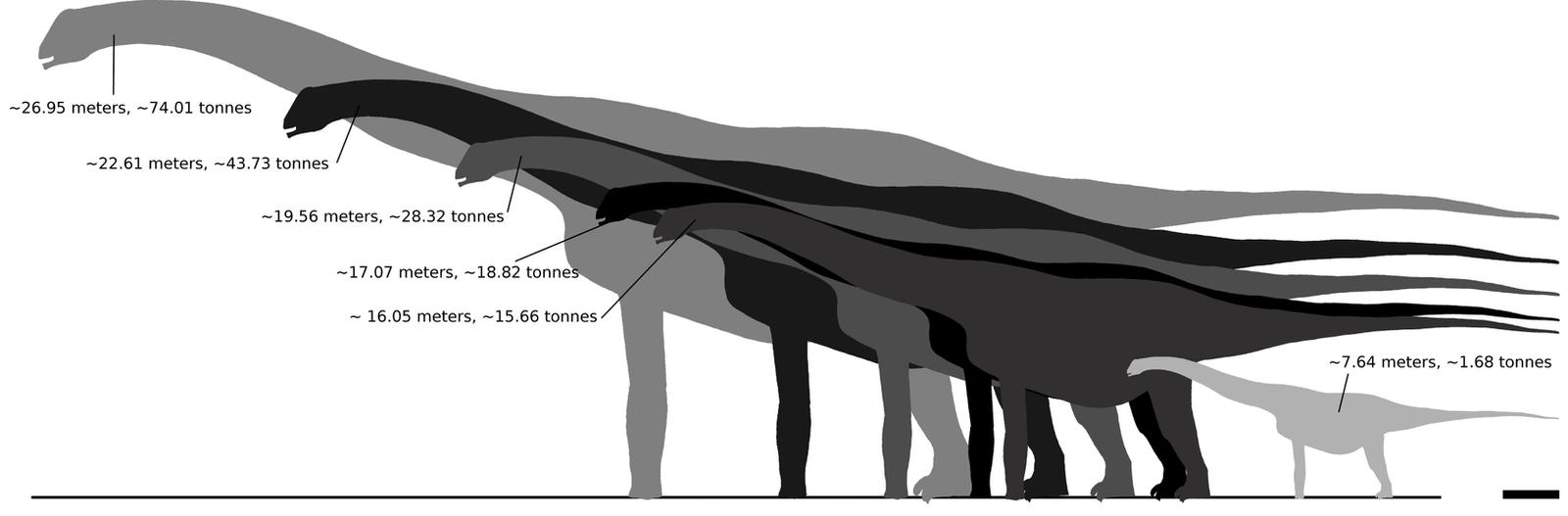 The size of Alamosaurus sanjuanensis - Dinosaurs Forum