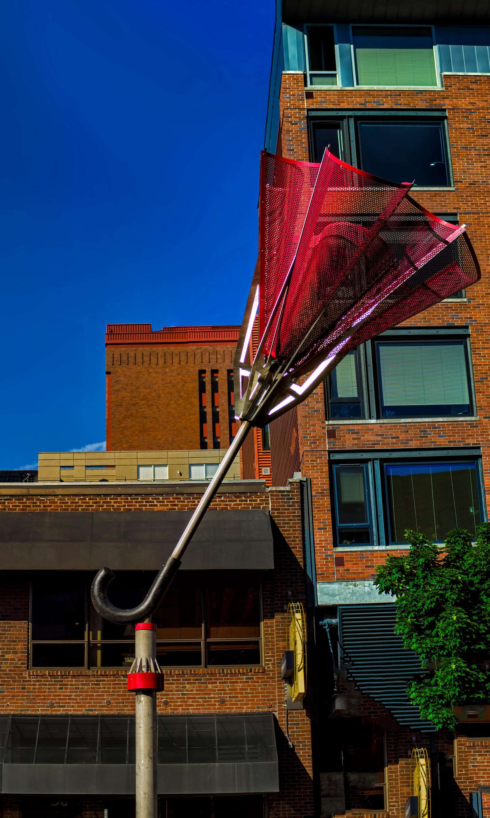 umbrella in seattle by mackingster d681bni