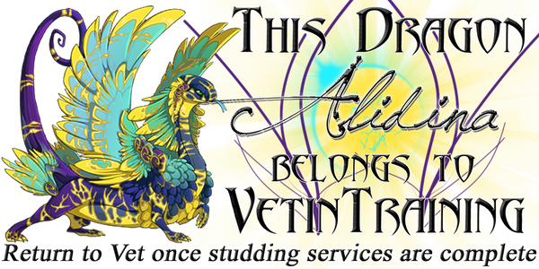 alidina___dragon_belongs_copy_by_vet_in_training-d863q2q.png